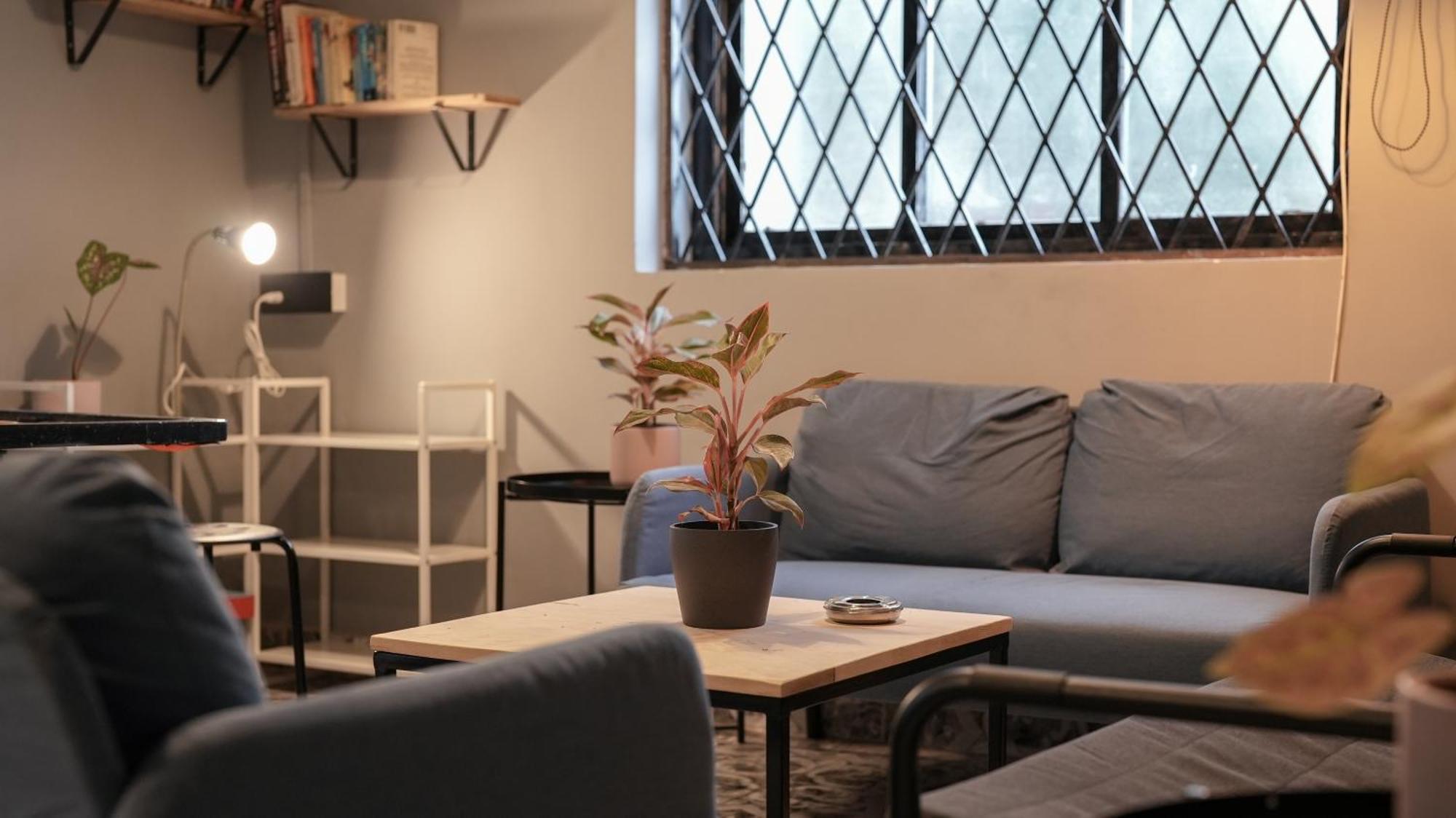Sortby Stays, Anjuna Ngoại thất bức ảnh